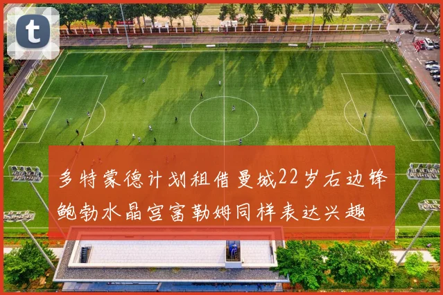 多特蒙德计划租借曼城22岁右边锋鲍勃水晶宫富勒姆同样表达兴趣