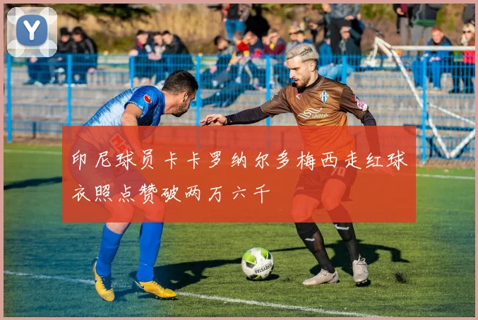 印尼球员卡卡罗纳尔多梅西走红球衣照点赞破两万六千