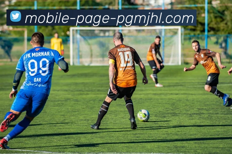 张佳玮分析哈登加盟骑士对球队角色的积极影响与莫布里潜力的期待